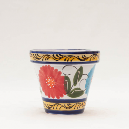 Spanish Orange Bloom Standard Pot 6"