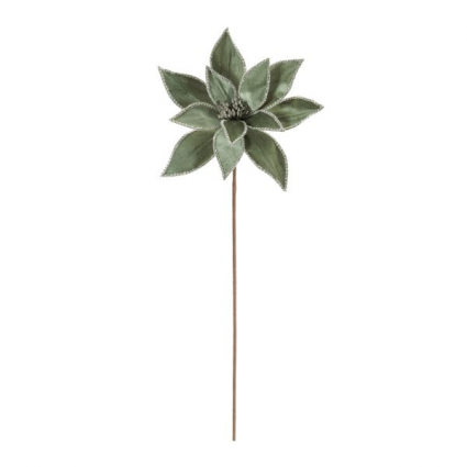 STEM, 25" LIGHT GREEN POINSETTIA