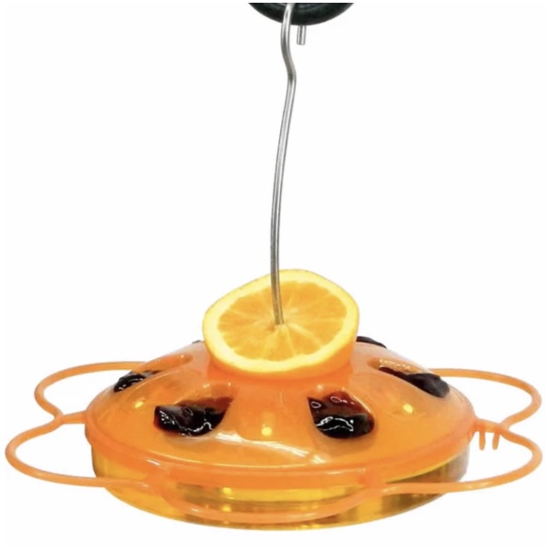 3-in-1 Oriole Dish Birdfeeder