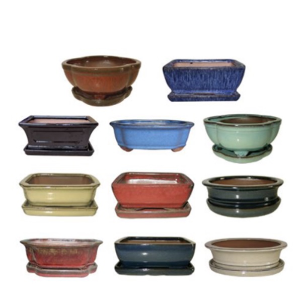 5" Bonsai Pot with Saucer (Sold Separately)