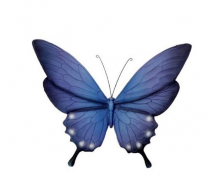 Butterfly Wall Art