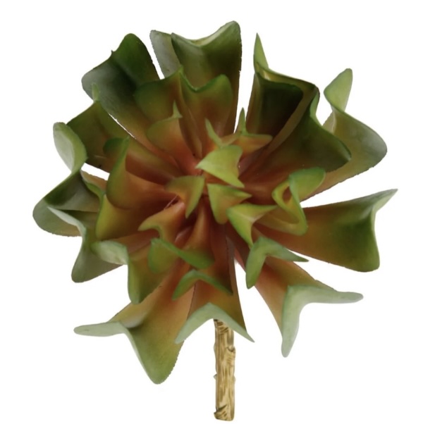 Succulent Pick