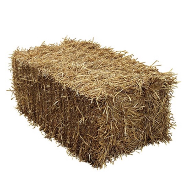 Straw Bale
