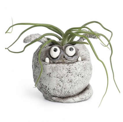 Spud Stone Critter Mini Planter 