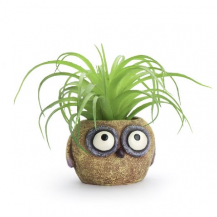 Baby Yellow Owl Mini Planter