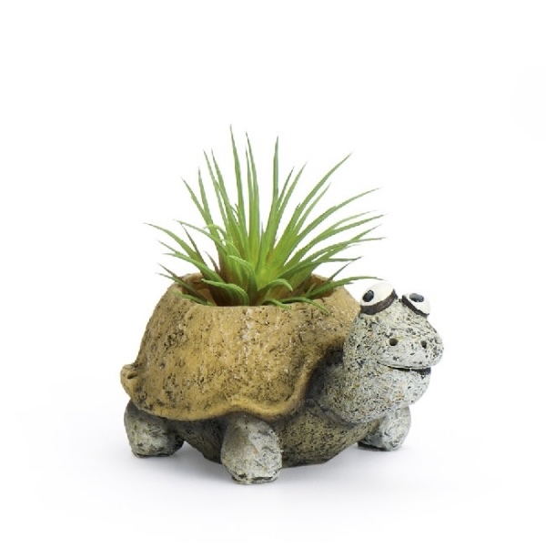 Baby Tortoise Pres Mini Planter