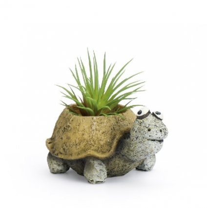 Baby Tortoise Pres Mini Planter