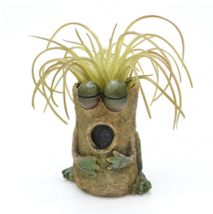 Baby Singing Frog Mini Planter