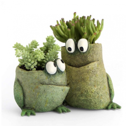 Baby Frog Pals Mini Planter