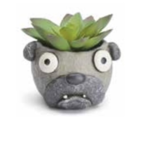 Baby Elliot Pug Mini Planter