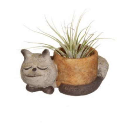 Baby Sleeping Kitty Planter: