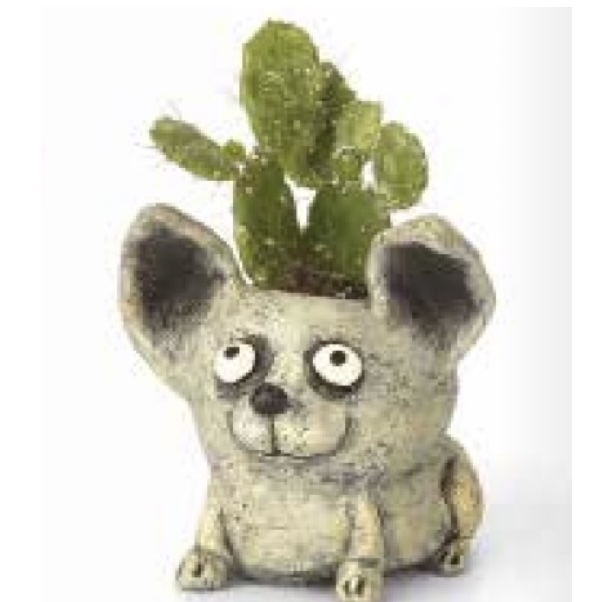 Chico Dog Mini Planter