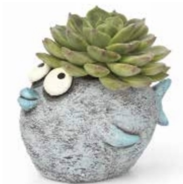 Bubble the Fish Mini Planter