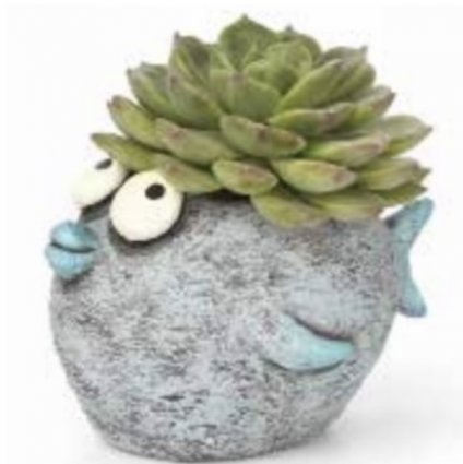 Bubble the Fish Mini Planter