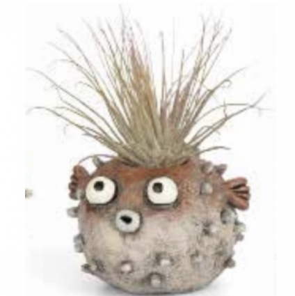 Sushi the Blow Fish Mini Planter