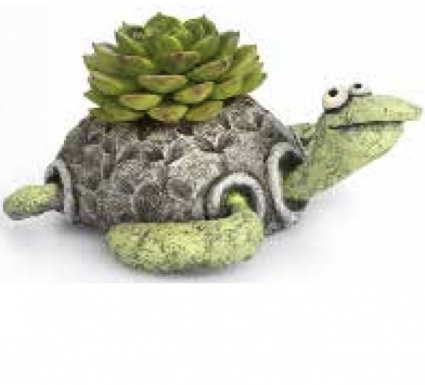 Kai the Turtle Mini Planter