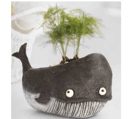 Goliath the Whale Mini Planter 
