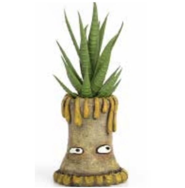 Rocky the Anemone Mini Planter 
