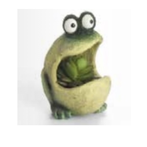 Wide-Mouthed Frog Mini Planter