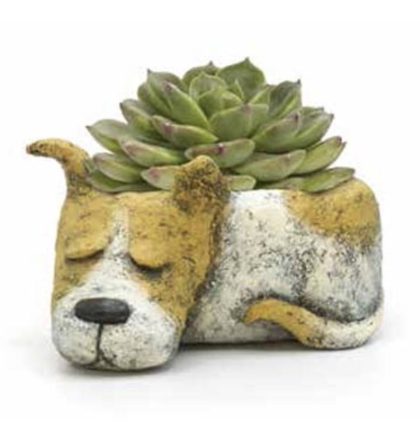 Luna the Sleeping Dog Mini Planter