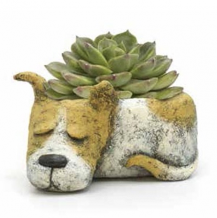 Luna the Sleeping Dog Mini Planter