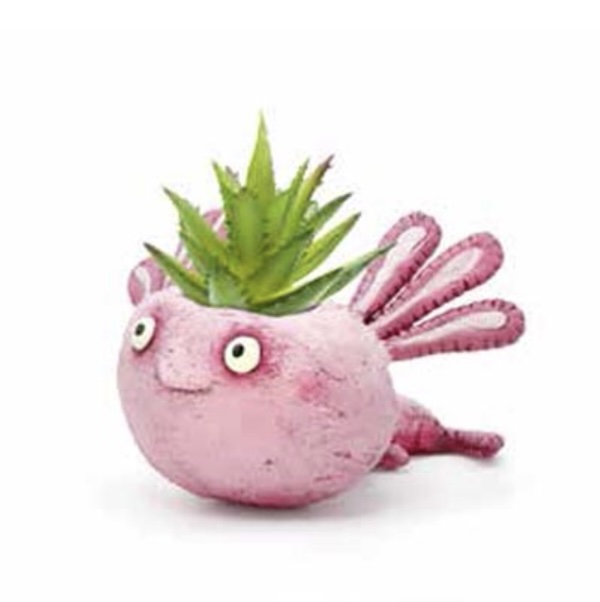 Alexander the Salamander Mini Planter