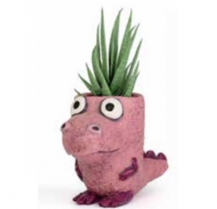 Dragon Kid Mini Planter