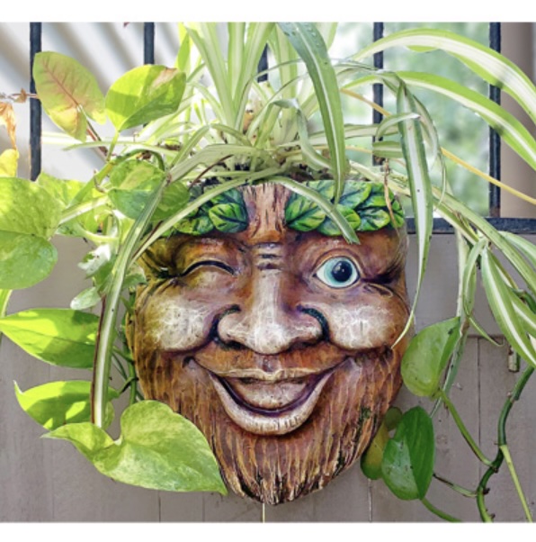 Wink the Tree Face Planter
