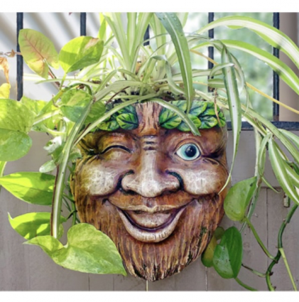 Wink the Tree Face Planter