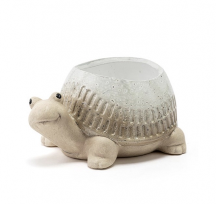 Tommy the Ribbed Turtle Mini Planter 