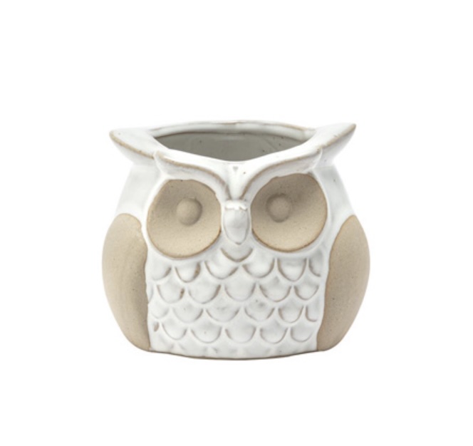 Sage the Owl Mini Planter 