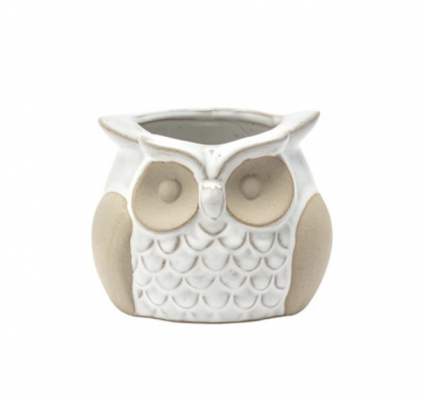 Sage the Owl Mini Planter 