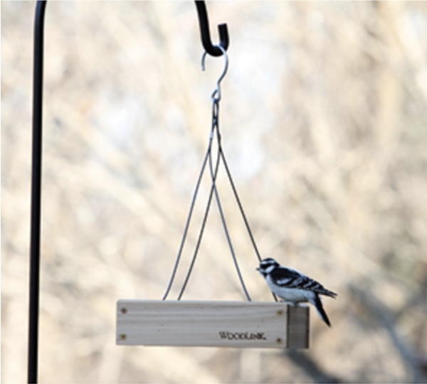 Small Hanging Platform Bird Feeder