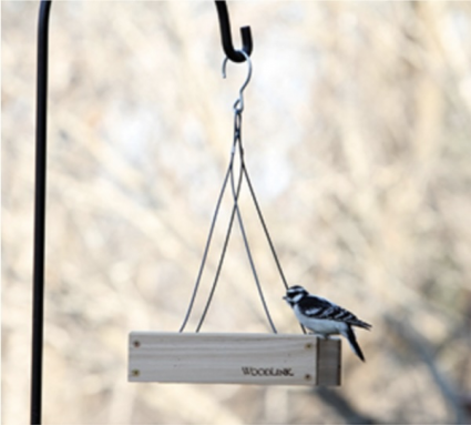 Small Hanging Platform Bird Feeder