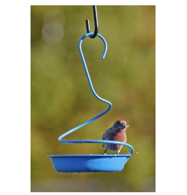 Mealworm Birdfeeder
