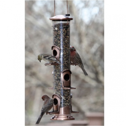 Brushed Copper 6 Port Seed Bird Feeder