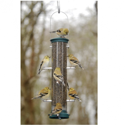 Quick Clean Medium Spruce Nyjer Tube Feeder