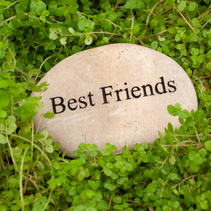 Best Friends Mini Pebble Stone Heart 