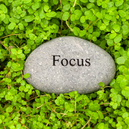 MINI STONE, 2-3" FOCUS