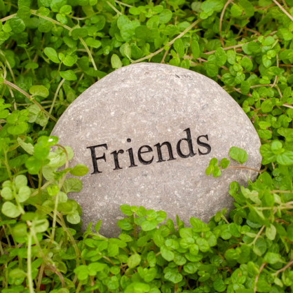 MINI STONE, 2-3" FRIENDS