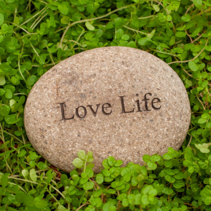 MINI STONE, 2-3" LOVE LIFE