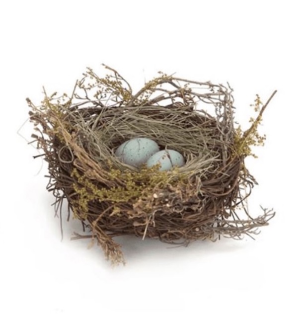 BIRD'S NEST