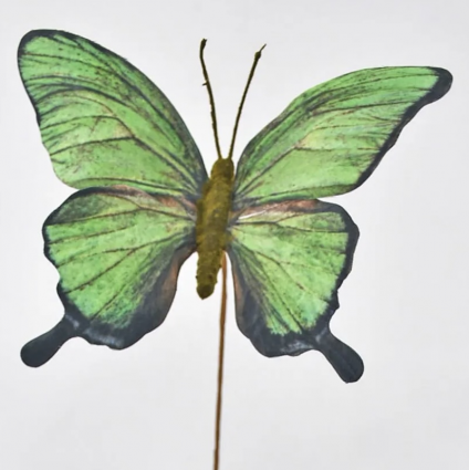 Green Butterfly Spray