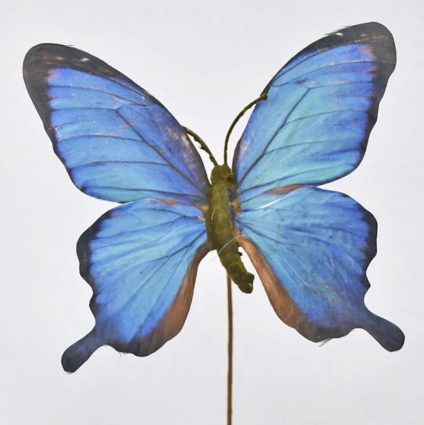 Blue Butterfly Spray