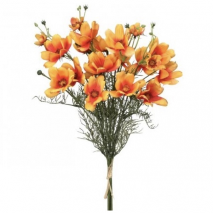  Orange Farm Stand Cosmos Bundle 22"