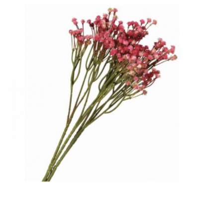 Dark Pink Gypsophila Bush 15"
