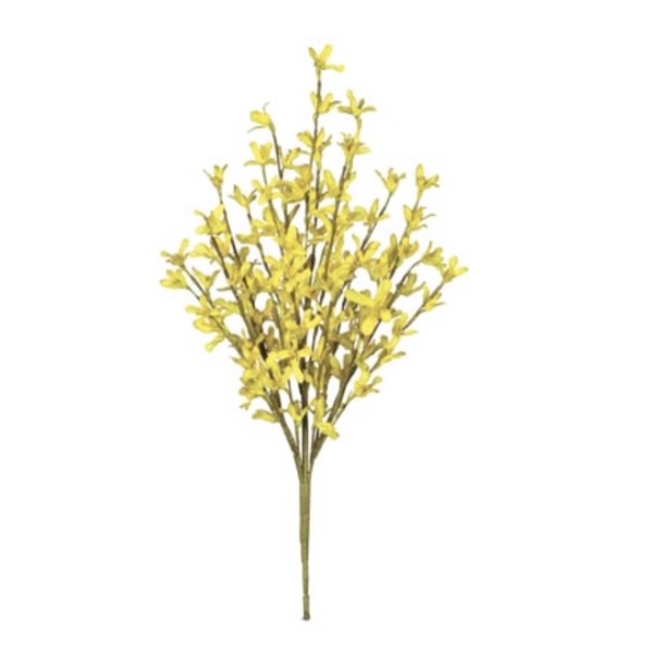 Yellow Forsythia Bush 18"