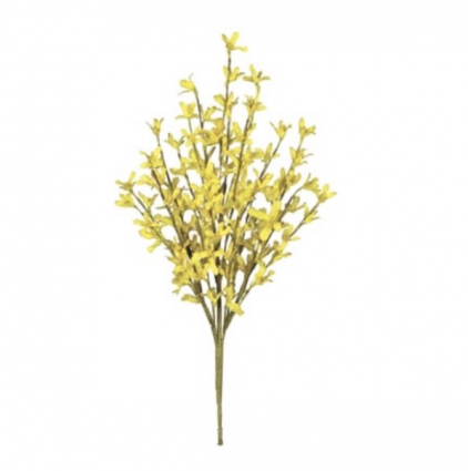 Yellow Forsythia Bush 18"