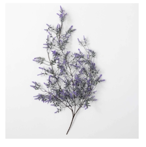 Lavender Drop Swag Bush