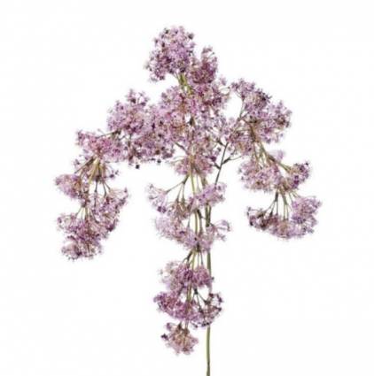 Pink Weeping Laurel Spray 30"
